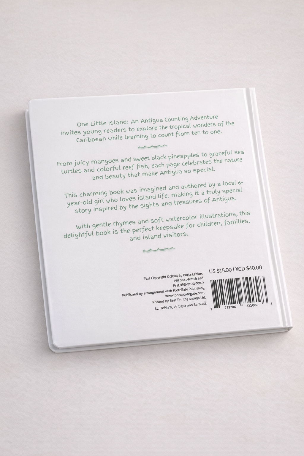 Back cover of a book with text on a light gray background