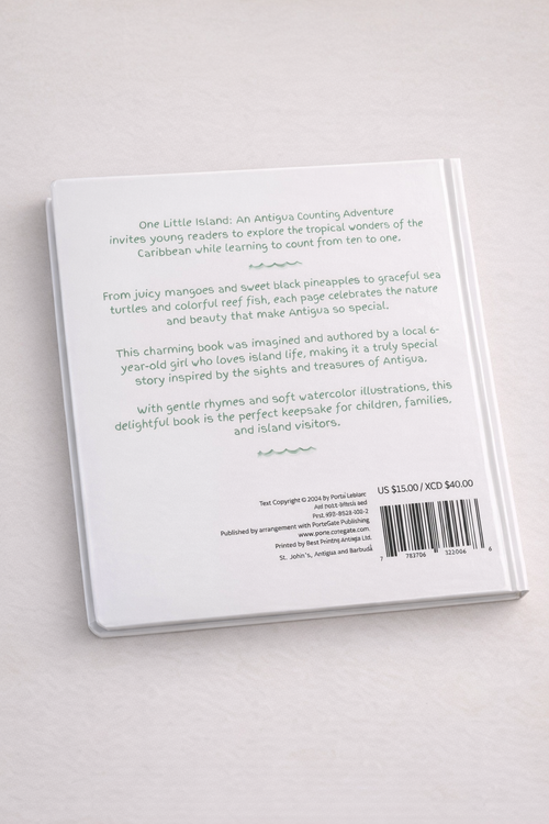 Back cover of a book with text on a light gray background